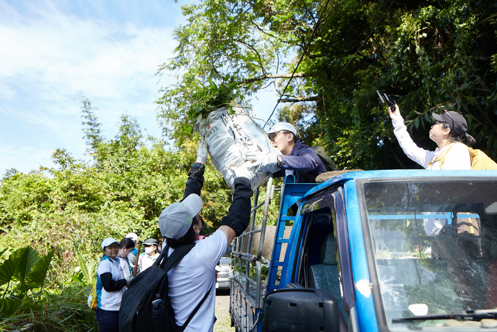 友達串聯志工組成水環境巡守隊，針對霄裡溪沿岸3公里的小花蔓澤蘭，定期進行移除與防治工作